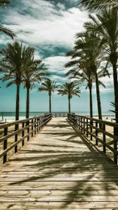 Sun_to_Moon01010 Public Billede 5