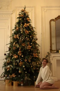 The night before Christmas 2023 de AkexandraFix  2 photos