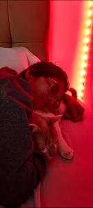 anaroman01 Ana 👀🖤 รูป  5