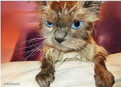 anapuala_sexxxのPublicの枚の写真