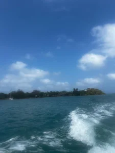 feed photo de Xara_Shadow  4 Imagens