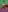 VibrantMultiracialCouple's photo