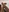 40 surprise photos