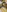 90 Full nude pics