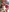 SQUIRT_EXTREMEPERVERSE's photo
