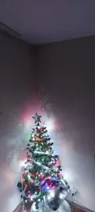 MichelleGrase Magical Winter Εικόνα 5