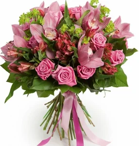 ValeryKiwiMy wishes图片 2