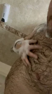 🛁🚿🚹 de big_bearr  4 Imagens