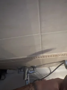 Pardalin112 Io2 Εικόνα