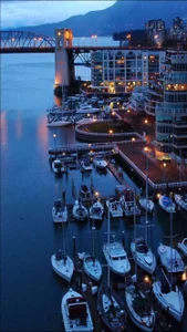 modelyounf kullanıcısının ،what albümü -  2 fotoğraf