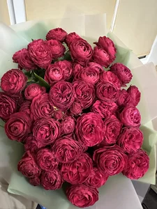 LilyyFox My lovely flowers 🌹 Pic 3