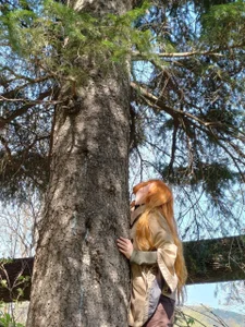 KateVibe_01 Nature зображення 2