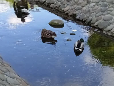 A little from my life od samanta_hotty  snímek