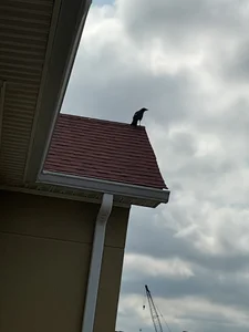 TheoreticallyCrazy2 Public Foto 2