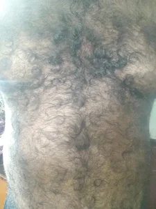 MalluBoyForAll Chest slika