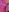 ChrryFoxx's photo
