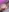 Kinkybooby's photo