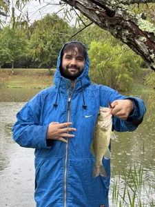 jotomatias931388 More of me Pic 6