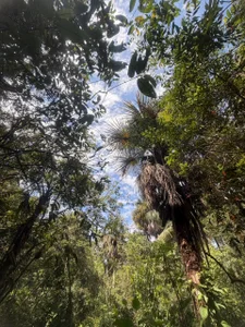 outdoors 🌱🍂🍃🌸 de Amara_melodi  4 Imagens