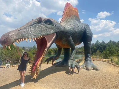 AtheneaRossi kullanıcısının The valley of the dinosaurs albümü -  7 fotoğraf