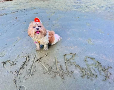 Happy girl strolling 🚶‍♀️😊🌸 Thanks to your love, I get to enjoy days like this 🌅💙 Love you! ❤️ de isabel_jaames  5 Imagens