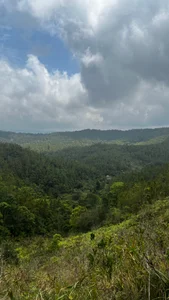 Public de Bubuchan88 Foto 4