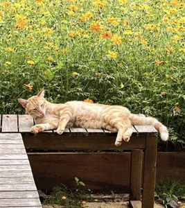 ---MIA---: Public ( 4 фото)