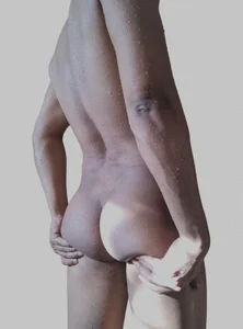 Public de coltfangs  4 Imagens