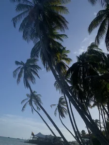 fabrizzio_MontiPool day Bild 7