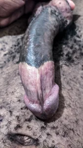 king_daddy_mo Public Pic