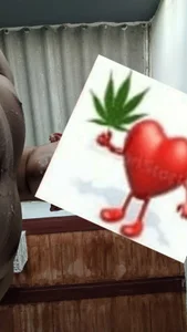 pipecha 777 slika 3