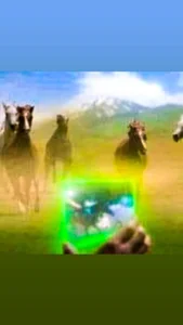 SleptCarrot3 Public  3টি ছবি