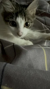 LylaYeessのMy little happiness❤️の 5枚の写真