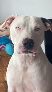 PamelaFt1 Public зображення 6