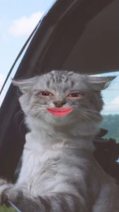 misshoneyxxx Funny photos ♥ Εικόνα 6