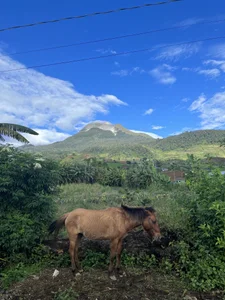 This is what natures can offer such `Beauty` de TS-SimplyTheBest  5 photos