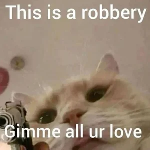 incognimeow MEME MEOW Foto 6