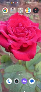 Rosely-roselyのPublicの枚の写真