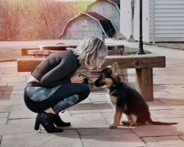 Brivana Public รูป 