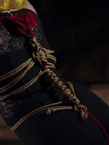 Morganoctiss: The best shibari ( 7 фото)