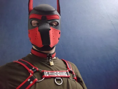 CagedPups XXX nøgenfoto 1