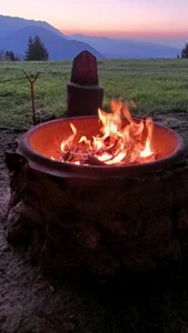 Green?? de Saysomething3  2 photos