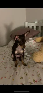 Public de TeriSchabbing Foto