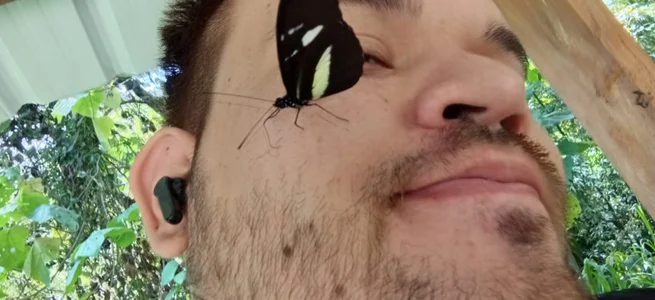 big__bearrr 🦋🦋  2 снимка