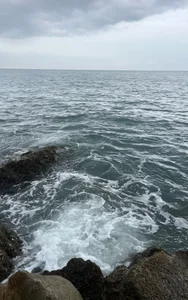 🐚 de Kyokoooooo Foto 2