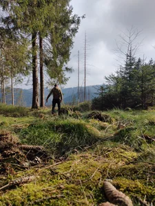 DonyBrown Just me! зображення 8