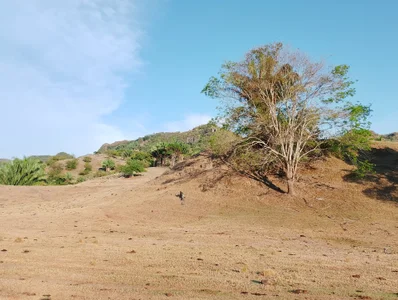 ChloeSanchezx Reserva "el Tambor" Pic 3