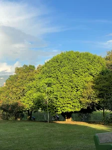 💋 Rest Tuesday 💫 de Dollar-girl  5 photos