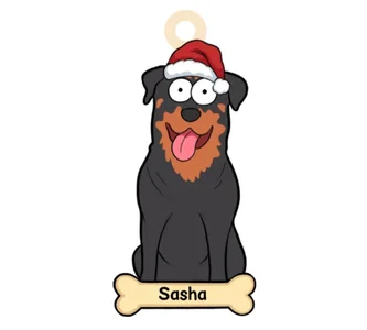 Cassandra_Caiin kullanıcısının My Life❤ albümü -  6 fotoğraf