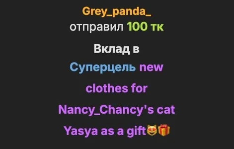 elsawhere 🤍THANK YOU🤍 epic goal: new clothes for Nancy_Chancy's cat Yasya as a gift😻🎁 Foto 6